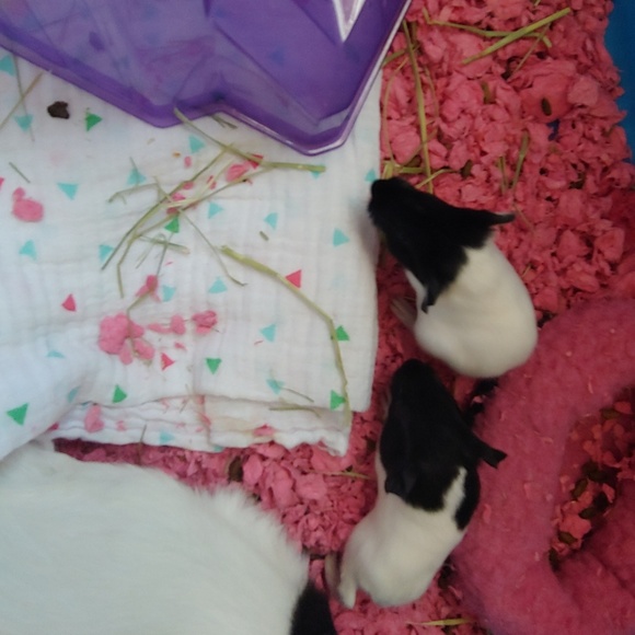 Necklace shoes slime shirts - Picture 4 of 4